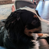 PXL 20230718 214851734