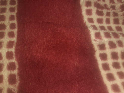 JPEG ٢٠٢٣٠٧١٩ ٠٠٥٠٥٧ 8719828298912231954.jpg