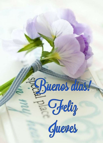 08b6d7a70f037ffb2a95ddf46016d98c.jpg
