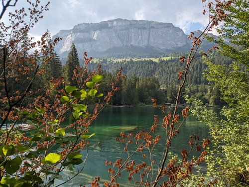 PXL 20230719 161312038.jpg