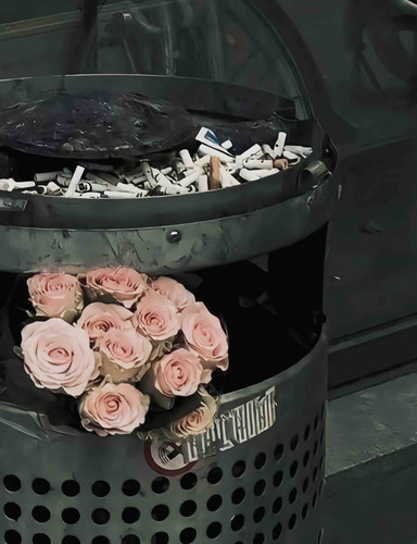 4174CA1D 5B82 4741 A235 B78764C1D58D.jpg