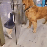ezgif 2 2182de7f72.gif