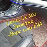 76b509bd562e55d582cddf52df036886