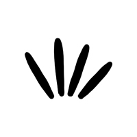 272831176 110437958213754 5483863985006044949 n.jpg? nc cat=1&ccb=1 7& nc sid=da31f3& nc ohc=jfOyqna.jpg