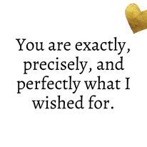 273167684 116117244312492 399206890529367984 n.png?stp=c20.0.206.206a dst png p206x206& nc cat=105&c.png