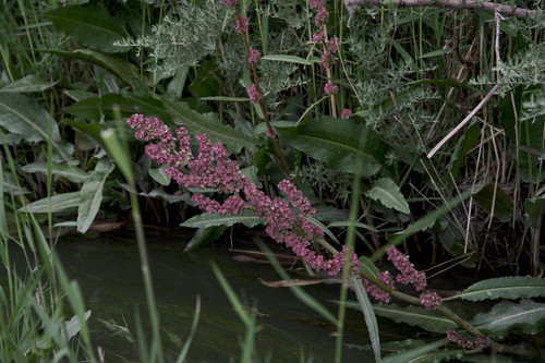 ZVE00904.jpg