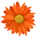 120.png