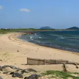 1535177890 43146070