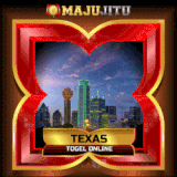 texas.gif