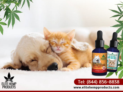 CBD for pet (3).jpg