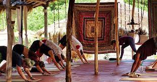 Yoga Classes in Goa.jpg