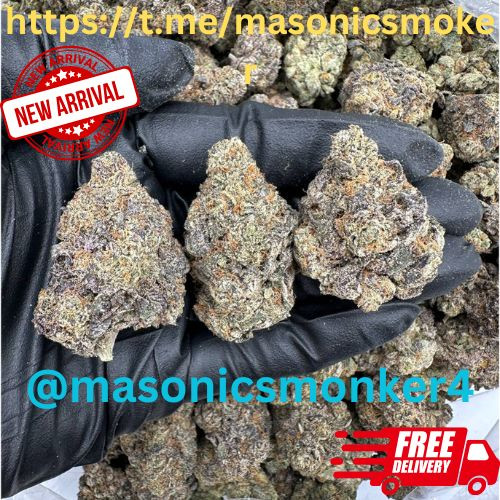 httpst.memasonicsmoker (1).jpg