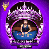 dragon tiger.gif