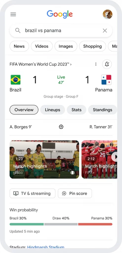 google copa do mundo 494x1024.webp
