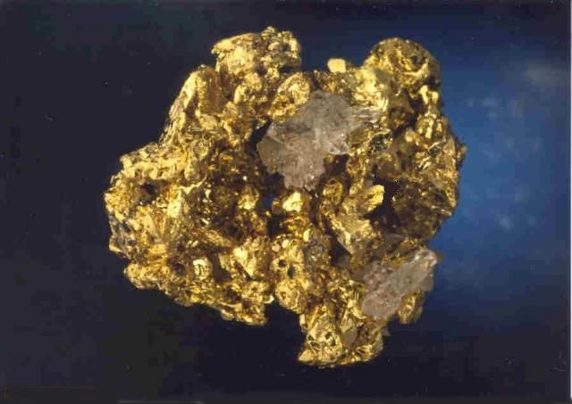 GOLD-MINER