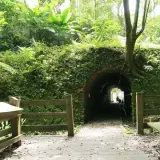 20080720 205