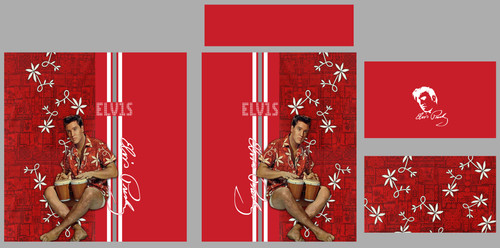 Hawaii Shirt Template 4.jpg
