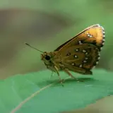 20080720 037