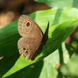 20080720 043