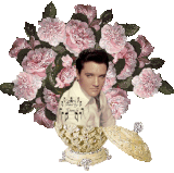 11136ki.gif