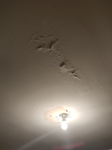 Ceiling 2 June 2023.jpg
