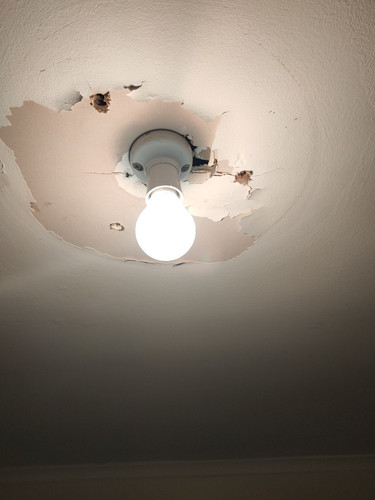 Ceiling 1 June 2023.jpg