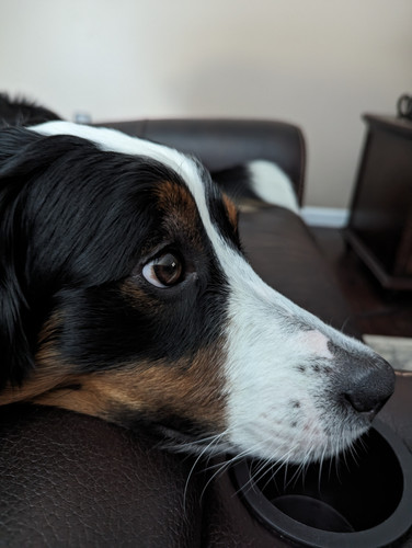 PXL 20230719 013513665