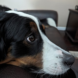 PXL 20230719 013513665