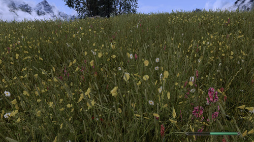 Tamrielic Grass.jpg