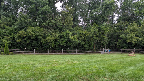 PXL 20230716 140645420