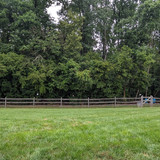 PXL 20230716 140645420