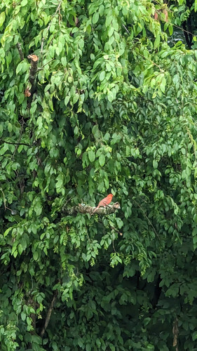 PXL 20230716 141247887~2