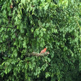 PXL 20230716 141247887~2