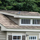 PXL 20230716 150100943