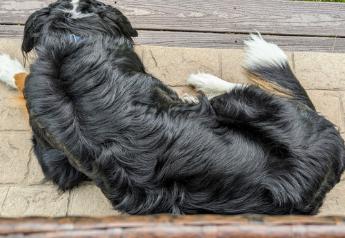 PXL 20230716 141012611