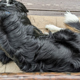 PXL 20230716 141012611