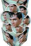 9124155Iim4taH4.gif
