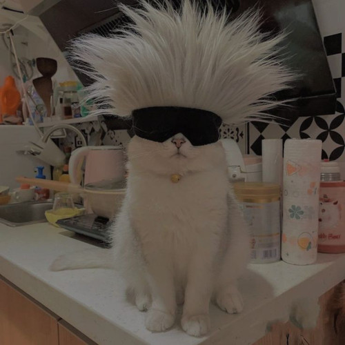 image.jpg
