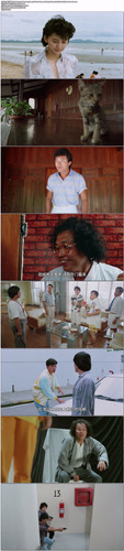 夏日福星.Twinkle.Twinkle.Lucky.Stars.1985.GBR.Extend.BDRip.1080p.x265.10bit.AC3.2Audio DGB.jpg