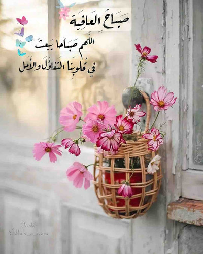 839AD4DF D3B6 498B 83CC 97AE6DD4CD89.jpg