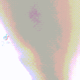 kot7.gif