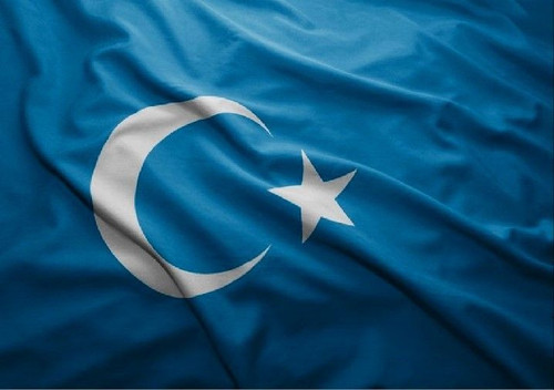 ŞarkiTürkistanBayrağı.jpg