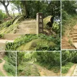 20080427 022 1