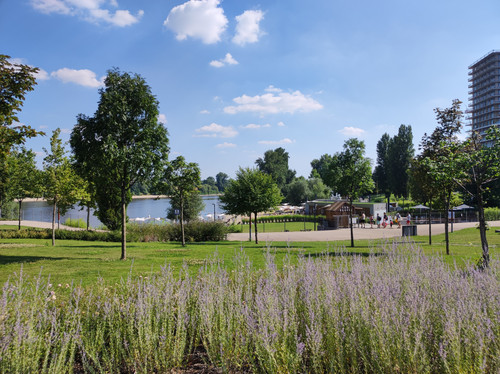 IMG 20230715 160919.jpg