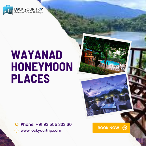 wayanad honeymoon places.png