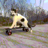 kot6.gif