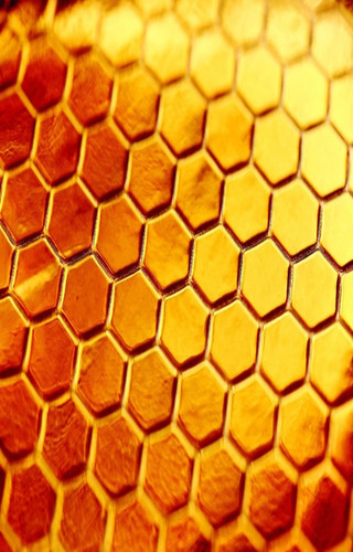 hexagon background.jpg