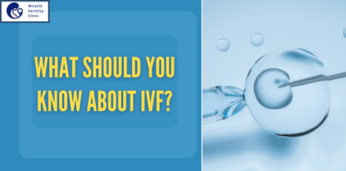 what should you know about ivf.png