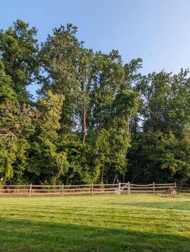 PXL 20230718 112150684