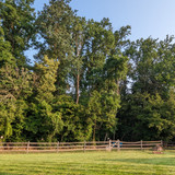 PXL 20230718 112150684